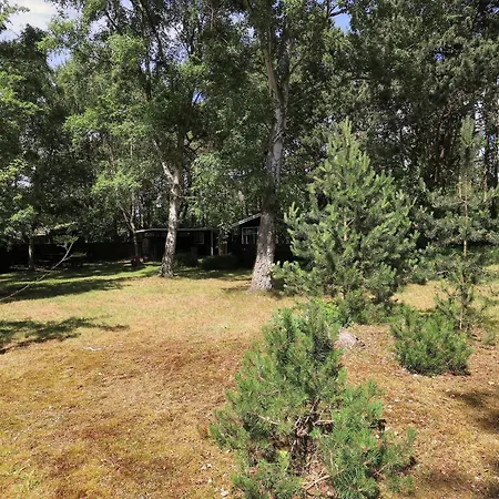 4 Person In Rodby-by Traum