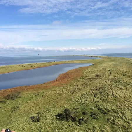 4 Person In Rodby-by Traum