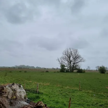 Holiday home 4 Person In Rodby-by Traum *