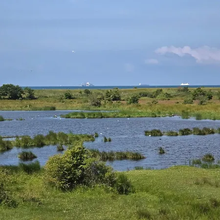 4 Person In Rodby-by Traum *