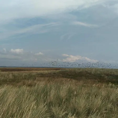 4 Person In Rodby-by Traum * Rodby