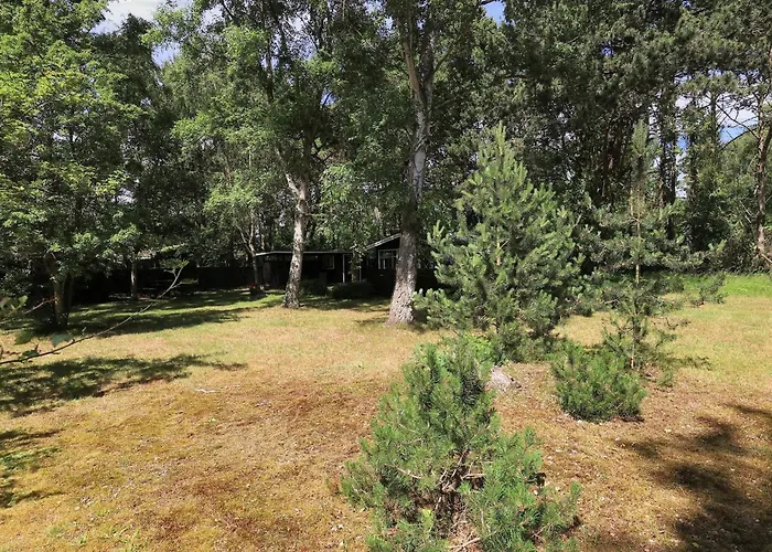 4 Person In Rodby-by Traum
