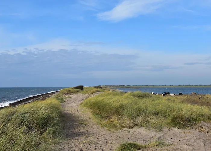 4 Person In Rodby-by Traum Holiday home *